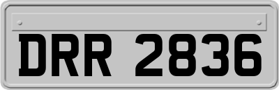 DRR2836