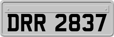 DRR2837