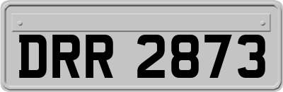 DRR2873