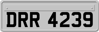 DRR4239