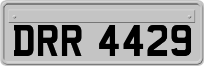 DRR4429