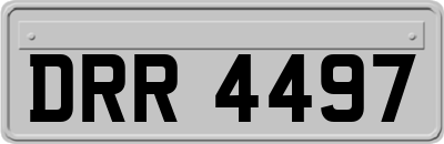 DRR4497