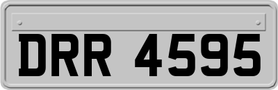 DRR4595