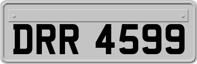 DRR4599