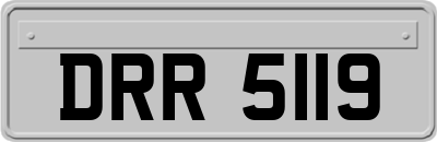 DRR5119