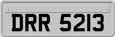 DRR5213