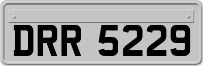 DRR5229