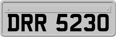 DRR5230