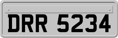 DRR5234