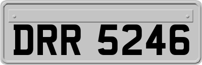 DRR5246