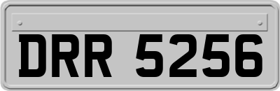 DRR5256