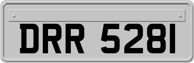 DRR5281