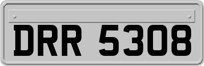 DRR5308
