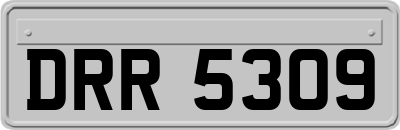 DRR5309
