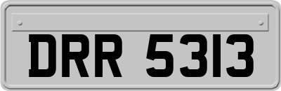 DRR5313