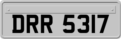 DRR5317