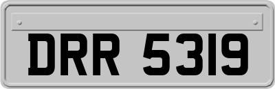 DRR5319