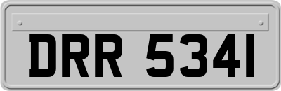DRR5341