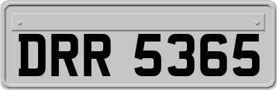 DRR5365