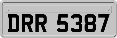 DRR5387