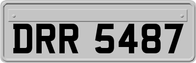 DRR5487