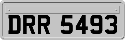 DRR5493