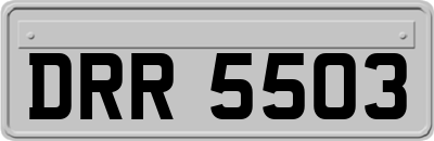 DRR5503