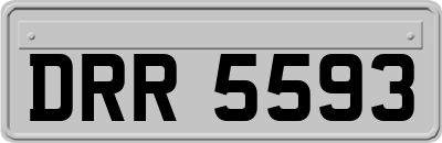 DRR5593