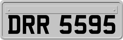 DRR5595