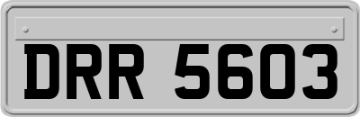 DRR5603