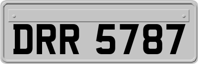 DRR5787