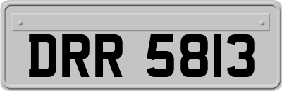 DRR5813