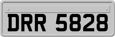 DRR5828