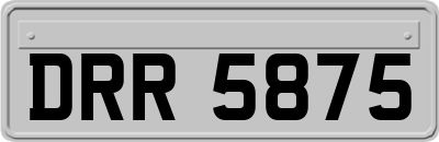 DRR5875