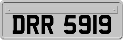 DRR5919