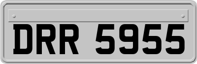 DRR5955