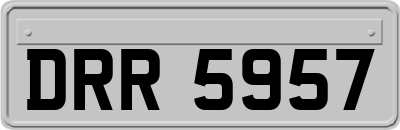 DRR5957