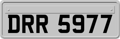 DRR5977