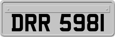 DRR5981