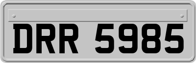 DRR5985