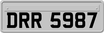 DRR5987