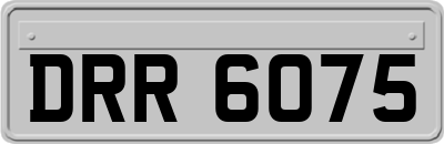 DRR6075