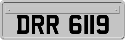 DRR6119