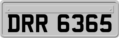 DRR6365