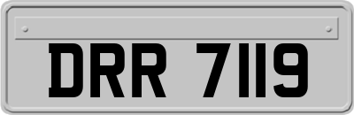DRR7119