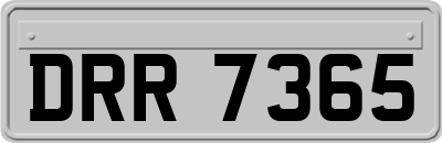 DRR7365
