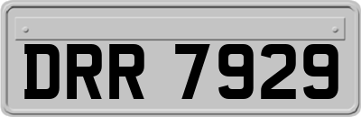 DRR7929