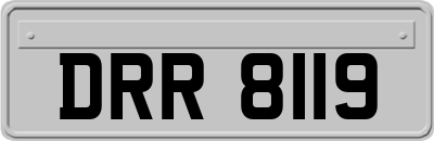 DRR8119