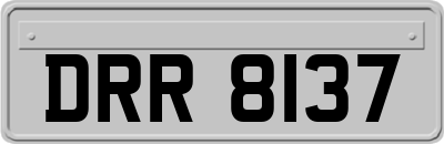 DRR8137