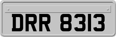 DRR8313